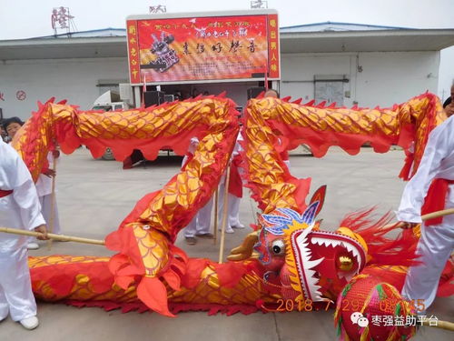 舞動古今，傳承不息——舞龍舞獅等非物質(zhì)文化遺產(chǎn)的實踐與傳播